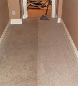 San Jose carpet cleaning